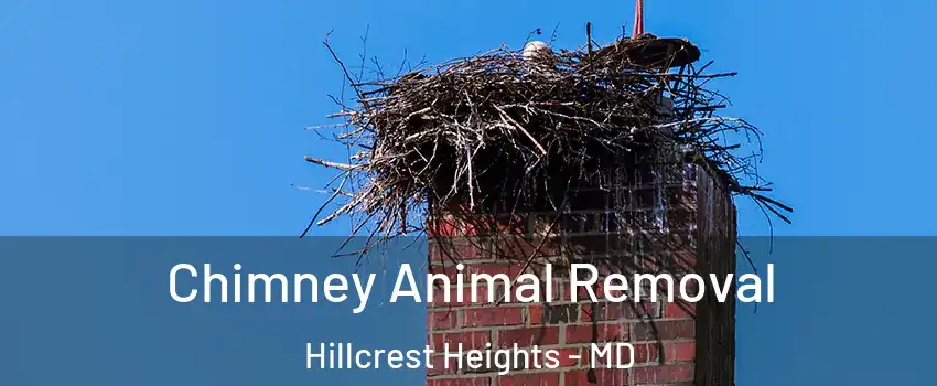 Chimney Animal Removal Hillcrest Heights - MD