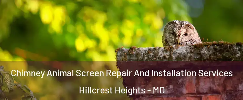 Chimney Animal Screen Repair And Installation Services Hillcrest Heights - MD
