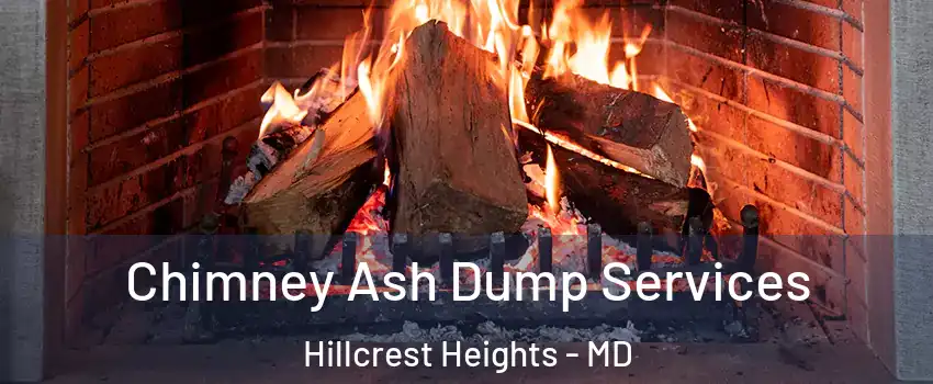  Chimney Ash Dump Services Hillcrest Heights - MD