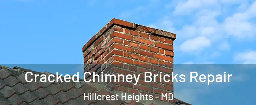  Cracked Chimney Bricks Repair Hillcrest Heights - MD