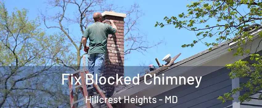  Fix Blocked Chimney Hillcrest Heights - MD