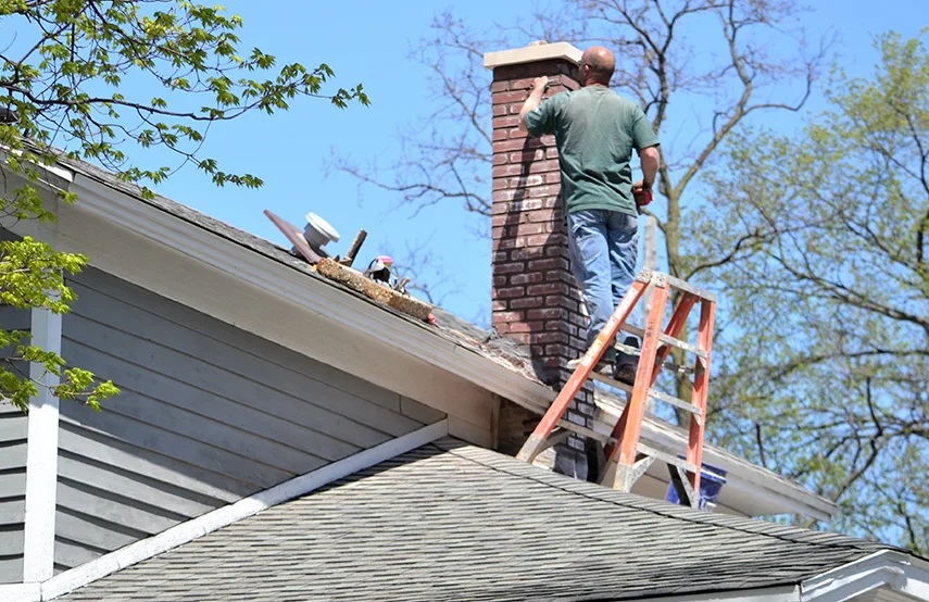 Chimney & Fireplace Inspections Services in Hillcrest Heights, MD