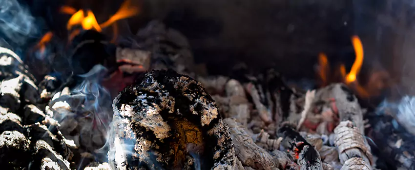 Creosote Removal Experts in Hillcrest Heights, MD