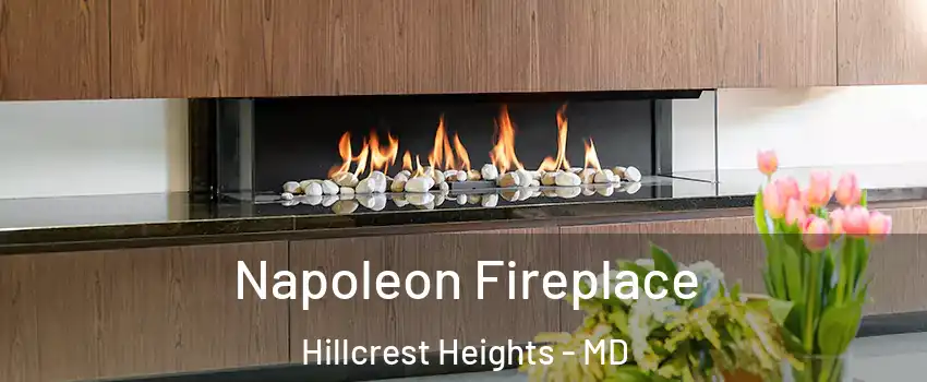  Napoleon Fireplace Hillcrest Heights - MD