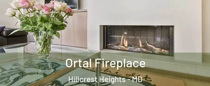  Ortal Fireplace Hillcrest Heights - MD